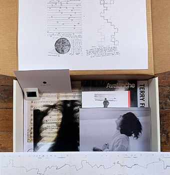 Terry Fox (& Joseph Beuys) - Resonance Box 28691